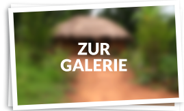 Zur Galerie